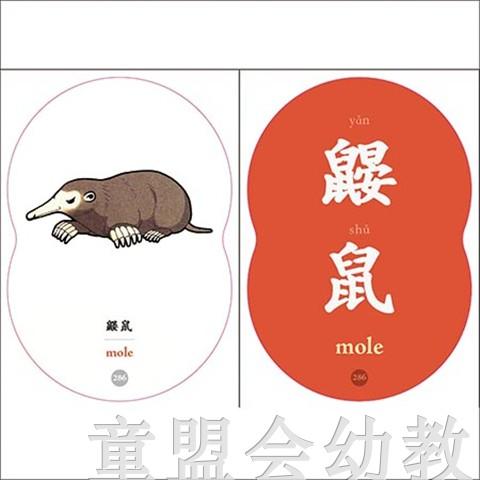 童心读世界认知卡片：地球的生物 丛书编辑部 3-4-5-6岁 正版 商品图4