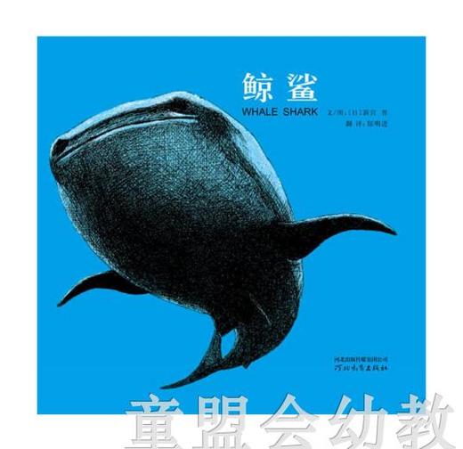 启发 鲸鲨 新宫晋 河北教育出版社 商品图0