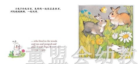 地球的生物:地底下的生物 何塞帕拉蒙 3-4-5-6岁 正版 商品图2