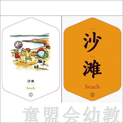 童心读世界认知卡片：生活的环境 丛书编辑部 3-4-5-6岁 正版 商品图2