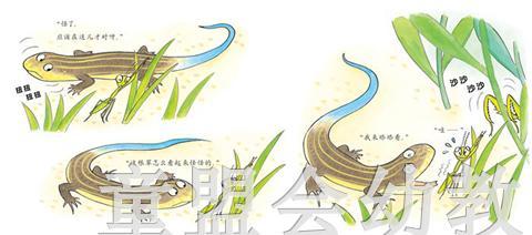 启发 我的萌萌动物邻居(全15册）河北教育出版社 3-4-5-6岁 正版 商品图4