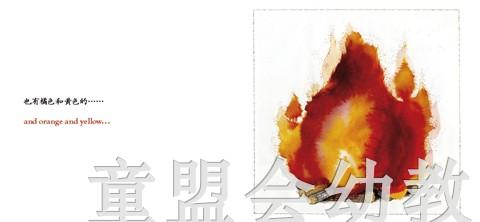 四大元素：火 何塞帕拉蒙 3-4-5-6儿童读物 江苏文艺出版社 正版 商品图3