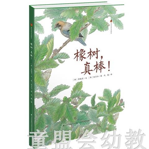 亲近自然生态绘本(蜘蛛、瓢虫、南瓜、橡树)套装书 江苏凤凰出版 商品图1