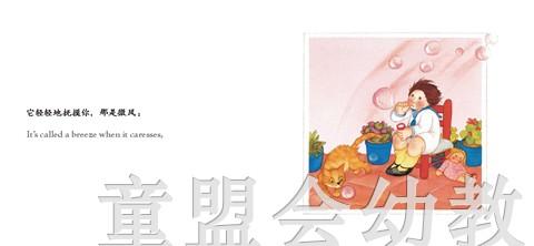 四大元素：空气 何塞帕拉蒙 3-4-5-6岁儿童读物 正版 商品图2