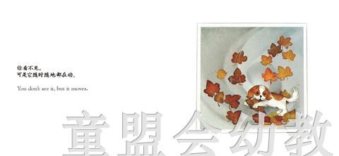 四大元素：空气 何塞帕拉蒙 3-4-5-6岁儿童读物 正版 商品图3