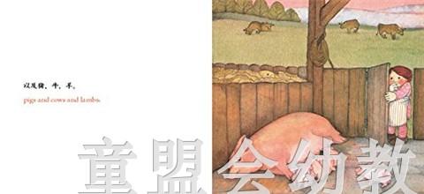 生活的环境：乡村 何塞帕拉蒙 3-4-5-6岁儿童读物 正版 商品图2