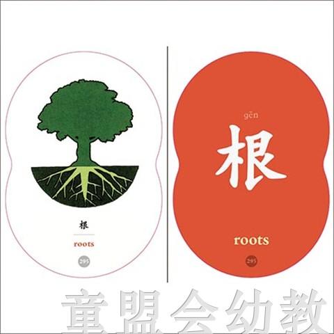 童心读世界认知卡片：地球的生物 丛书编辑部 3-4-5-6岁 正版 商品图1