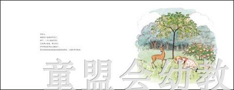 海豚 小鹿的故事 长江少年儿童出版社 商品图1