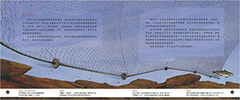 蒲蒲兰 鳕鱼的故事 马克·克伦斯基 7-8-9-10岁儿童绘本 正版 商品图4