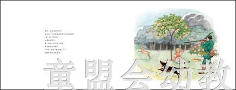 海豚 小鹿的故事 长江少年儿童出版社 商品图2