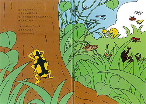 蒲蒲兰 昆虫捉迷藏 得田之久 3-4-5-6岁儿童读物 正版 商品图2