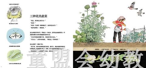 蒲蒲兰 它们是怎么长出来的？ 热尔达·穆雷 3-4-5-6岁儿童 正版 商品图3