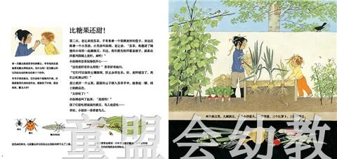 蒲蒲兰 它们是怎么长出来的？ 热尔达·穆雷 3-4-5-6岁儿童 正版 商品图1