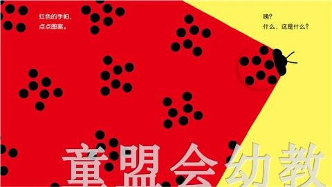 蒲蒲兰 什么，这是什么 木坂凉 0-1-2-3岁低幼儿童读物 正版 商品图2