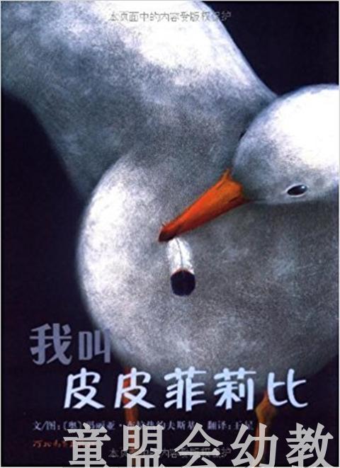 启发 我叫皮皮菲莉比 河北教育出版社 3-4-5-6岁 正版 商品图0