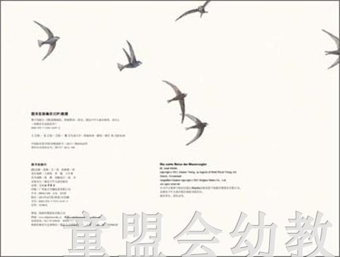 海豚 燕子的旅行 安娜·莫勒 3-4-5-6岁儿童读物 正版 商品图3