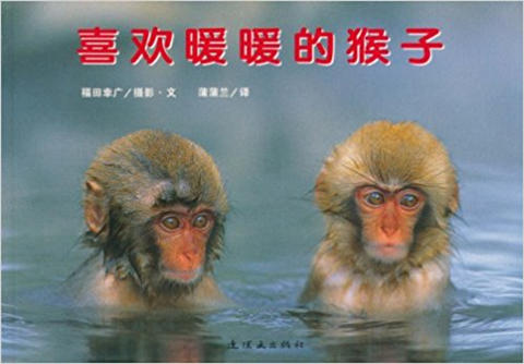 蒲蒲兰 喜欢暖暖的猴子 福田幸广 3-4-5-6岁儿童绘本 正版 商品图0