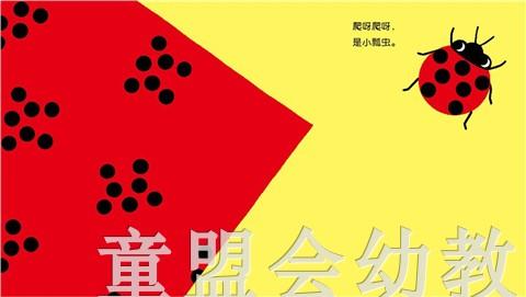 蒲蒲兰 什么，这是什么 木坂凉 0-1-2-3岁低幼儿童读物 正版 商品图1