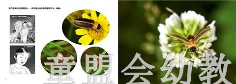 蒲蒲兰 水中的光亮 付新华 7-8-9-10岁儿童绘本 正版 商品图1