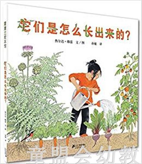 蒲蒲兰 它们是怎么长出来的？ 热尔达·穆雷 3-4-5-6岁儿童 正版 商品图0