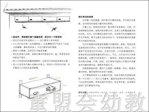 海豚 燕子的旅行 安娜·莫勒 3-4-5-6岁儿童读物 正版 商品图2