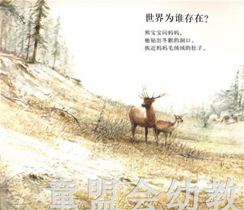 海豚 世界为谁存在？ 湖北少年儿童出版社 商品图3