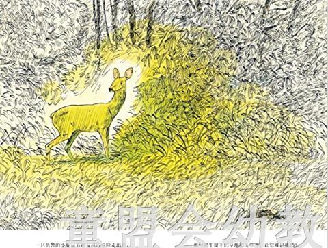 信谊 绘本 森林 明天出版社 正版 3-4-5-6岁 商品图1