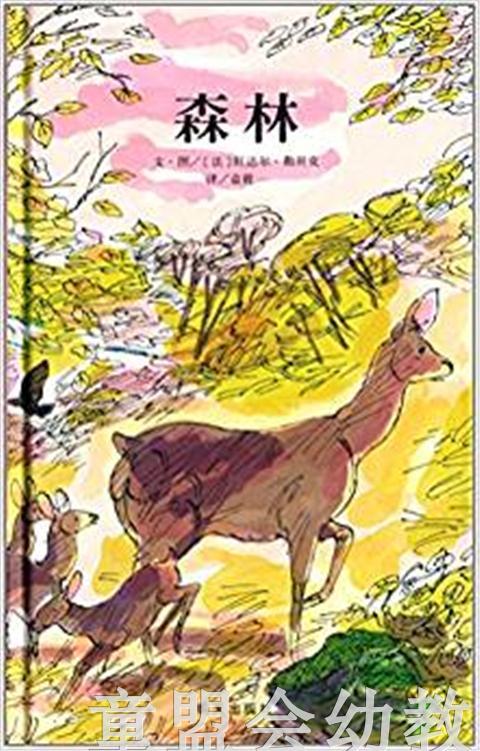 信谊 绘本 森林 明天出版社 正版 3-4-5-6岁 商品图0