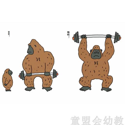 信谊宝宝起步走 爸爸的图画书 明天出版社 正版 3-6周岁 商品图1