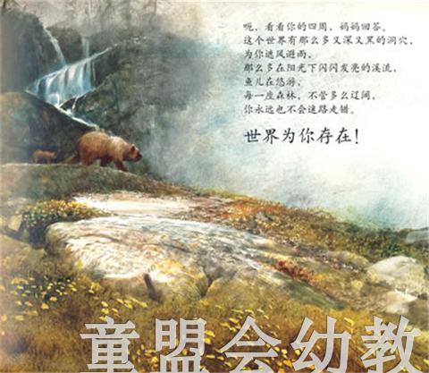 海豚 世界为谁存在？ 湖北少年儿童出版社 商品图4