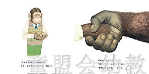 蒲蒲兰 威利和朋友 安东尼·布朗 3-4-5-6岁儿童绘本 正版 商品图2