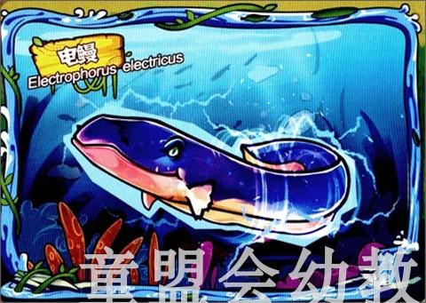 AR小百科热带雨林（新）3-4-5-6岁儿童读物 正版 商品图4