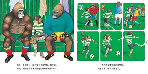 蒲蒲兰 魔术师威利 安东尼·布朗 3-4-5-6岁儿童读物 正版 商品图2