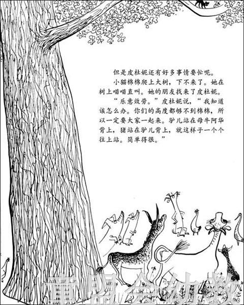 信谊宝宝起步走 傻鹅皮杜妮 明天出版社 正版 满包邮 3-4-5-6岁 商品图2