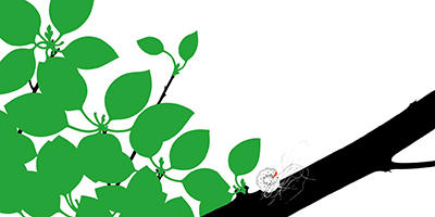 蒲蒲兰 红气球、苹果和蝴蝶套装 恩佐·马俐 3-4-5-6岁儿童 正版 商品图4