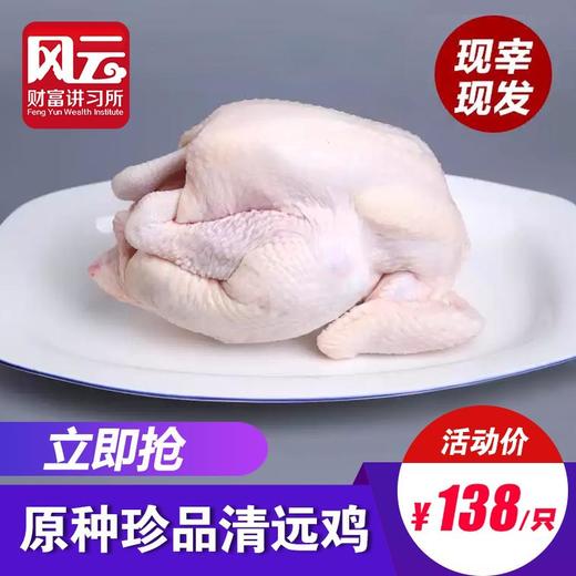 天赐良机（鸡），再续前缘——原种珍品清远鸡 商品图0