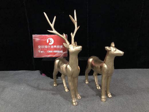 【特价】麋鹿【运费自理】 商品图2