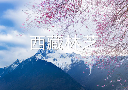 (越野车）春季·滇藏+川藏北环线：独龙江+丙察察+蓝冰+墨脱+林芝桃花+深度川藏北线23天（G219/G317/G318) 商品图0