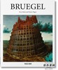 Bruegel 勃鲁盖尔艺术作品集/英文原版现货 Taschen【Basic Art】系列 商品缩略图0