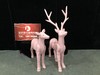 【特价】麋鹿【运费自理】 商品缩略图1