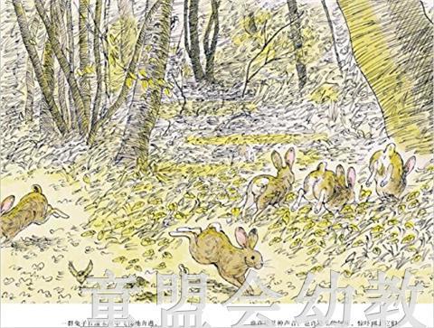 信谊 绘本 森林 明天出版社 正版 3-4-5-6岁 商品图2