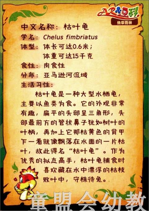 AR小百科热带雨林（新）3-4-5-6岁儿童读物 正版 商品图3