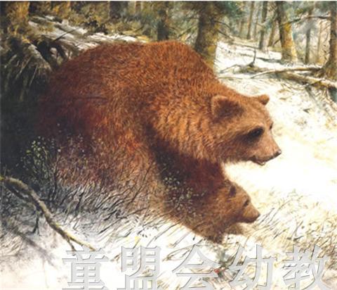 海豚 世界为谁存在？ 湖北少年儿童出版社 商品图2