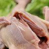 【粮食喂养】农家散养乳鸽   3个月内  肉质鲜嫩  急冻锁鲜  300g/1只 商品缩略图4