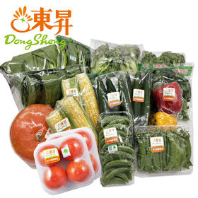 【4次包邮】东升农场蔬菜月卡（月配送4次）广东省包邮 供港蔬菜新鲜到家