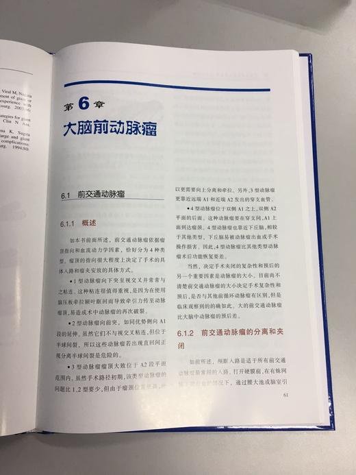 脑动脉瘤显微外科治疗：图示与病例 商品图3