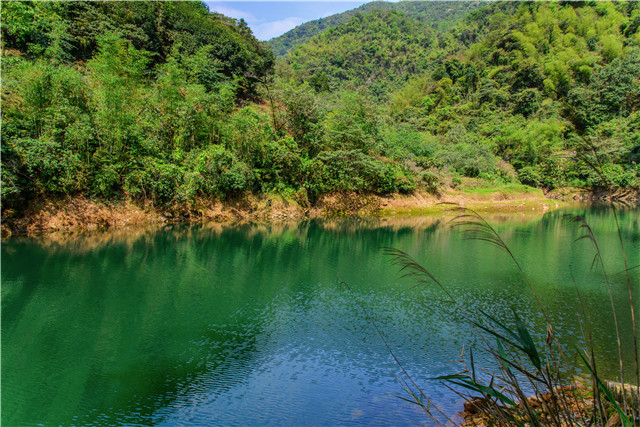 清远笔架山千谷溪森林公园探险门票1张(春节特惠,限量抢购)