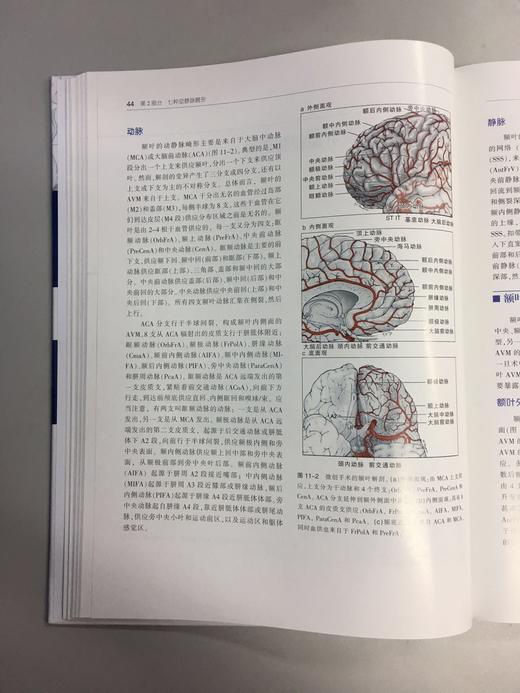 七种类型动静脉畸形 —手术策略及技巧 商品图4