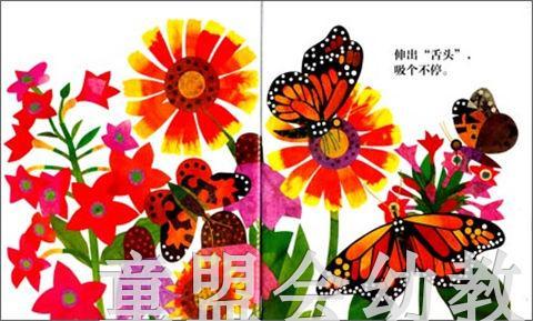 海豚 花园准备好了吗？ 湖北美术出版社 商品图2