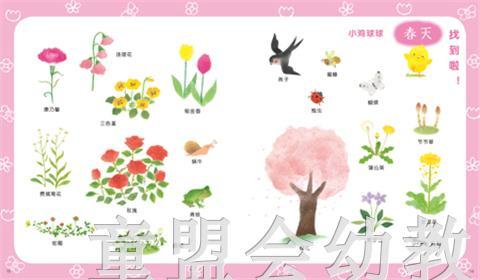 海豚 小鸡球球的春夏秋冬 湖北教育出版社 商品图1